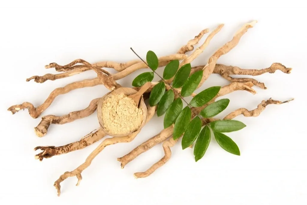 Tongkat Ali Root: History and Benefits